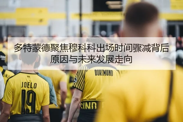 多特蒙德聚焦穆科科出场时间骤减背后原因与未来发展走向